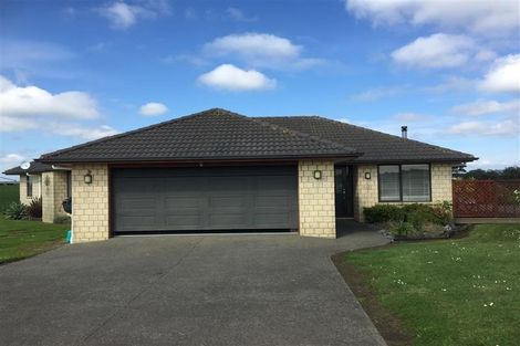 Photo of property in 315 Mercer Ferry Road, Mercer, Tuakau, 2696