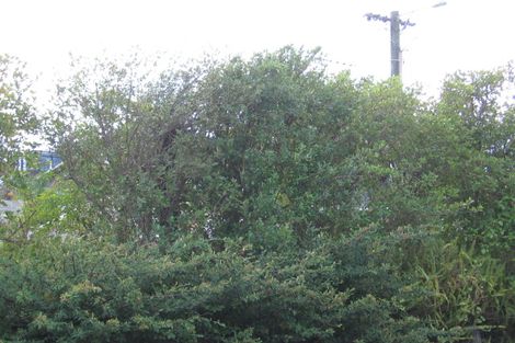 Photo of property in 2/21 Commodore Parry Road, Castor Bay, Auckland, 0620