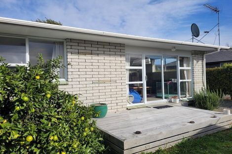 Photo of property in 49a Mcmaster Street, Greytown, 5712