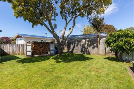 Photo of property in 305 Frankley Road, Ferndale, New Plymouth, 4310