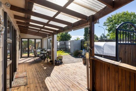 Photo of property in 36 Winchester Terrace, Bethlehem, Tauranga, 3110