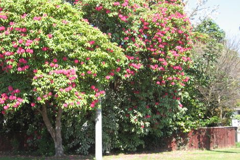 Photo of property in 6 Sophia Street, Glenholme, Rotorua, 3010