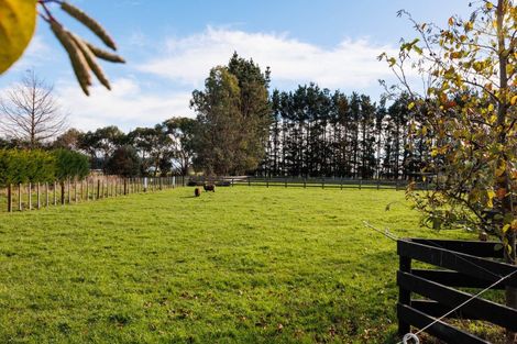Photo of property in 408 Aranui Road, Kairanga, Palmerston North, 4475