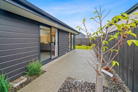 Photo of property in 38 Mills Road, Marshland, Christchurch, 8051