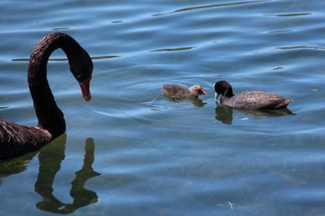 Photo of property in 483 Spencer Road, Lake Tarawera, Rotorua, 3076