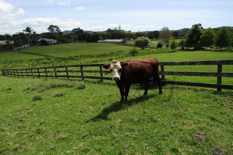 Photo of property in 7 Puketutu Drive, Haruru, 0204