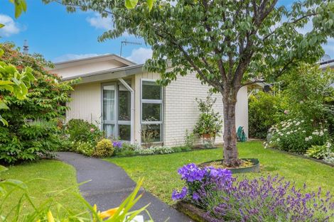 Photo of property in 16 Mckeefry Avenue, Greenmeadows, Napier, 4112