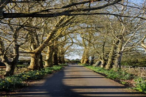 Photo of property in 342b Tamahere Drive, Tamahere, Hamilton, 3283