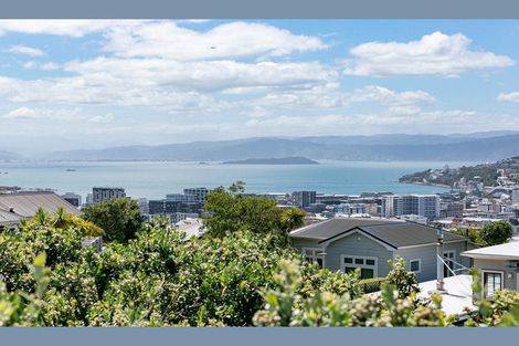 Photo of property in 44 Mortimer Terrace, Aro Valley, Wellington, 6021