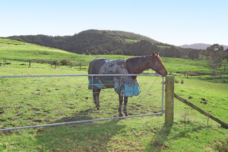 Photo of property in 353a Brown Road, Hakaru, Kaiwaka, 0573