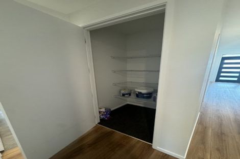 Photo of property in 46 Muster Road, Jacks Point, 9371