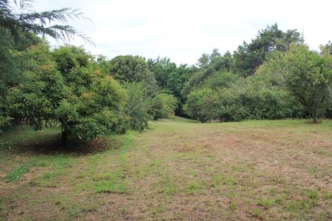 Photo of property in 81a Mcmillan Road, Tahawai, Katikati, 3170