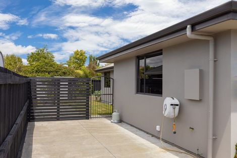 Photo of property in 17 Hilton Place, Blenheim, 7201