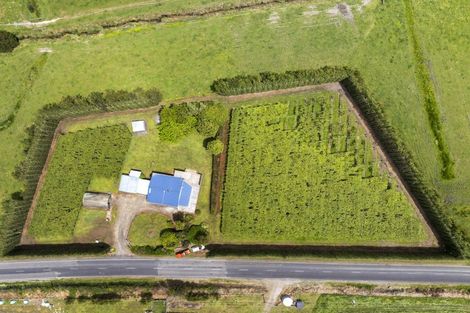 Photo of property in 120 Rotoehu Road, Pukehina, Te Puke, 3186