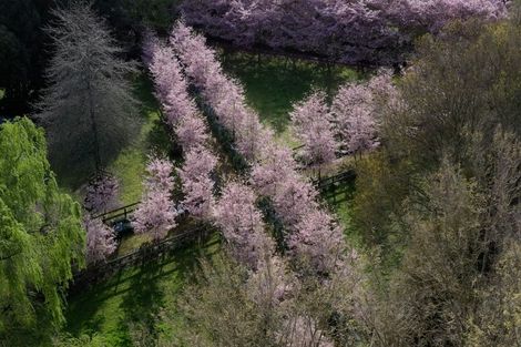 Photo of property in 125 Matangi Road, Matangi, Hamilton, 3284