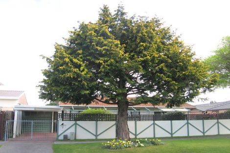 Photo of property in 52a Elizabeth Street, Victoria, Rotorua, 3010