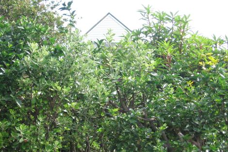 Photo of property in 66 Beacon Hill Road, Strathmore Park, Wellington, 6022