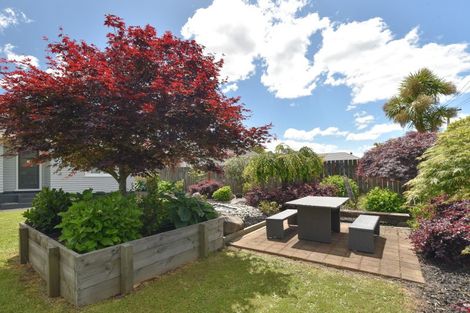 Photo of property in 11 Puriri Crescent, Hillcrest, Rotorua, 3015