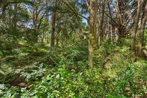 Photo of property in 821 Whangaripo Valley Road, Whangaripo, Wellsford, 0972