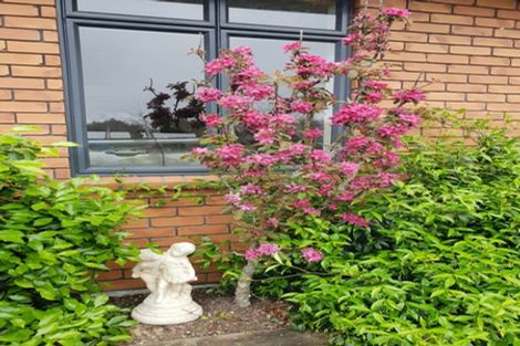 Photo of property in 600 Ponga Road, Opaheke, Papakura, 2584