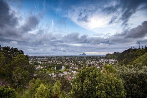 Photo of property in 147 Valley Road, Whakatane, 3191