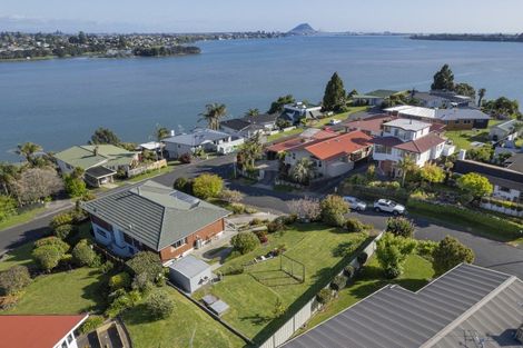 Photo of property in 34 Vine Avenue, Maungatapu, Tauranga, 3112