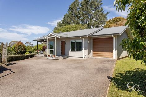 Photo of property in 499 Wainui Road South, Whakamarama, Tauranga, 3180