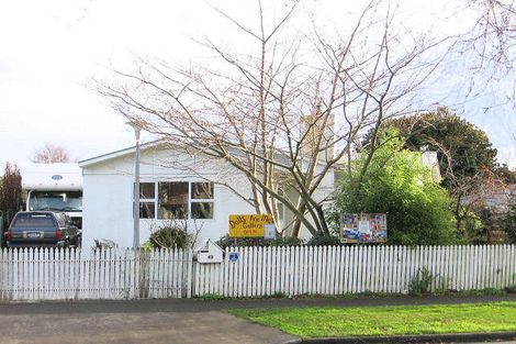 Photo of property in 40 Ruamahanga Crescent, Terrace End, Palmerston North, 4410