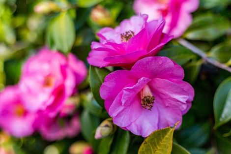 Photo of property in 15 Kiriwai Road, Paremata, Porirua, 5024