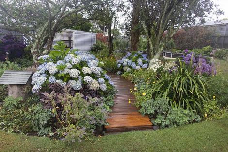 Photo of property in 61 Terou Street, Manaia, 4612