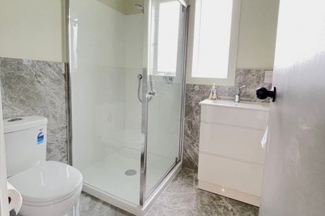 Photo of property in 93a Tiro Tiro Road, Levin, 5510