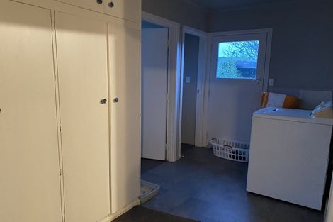 Photo of property in 1018c Totara Street, Mahora, Hastings, 4120