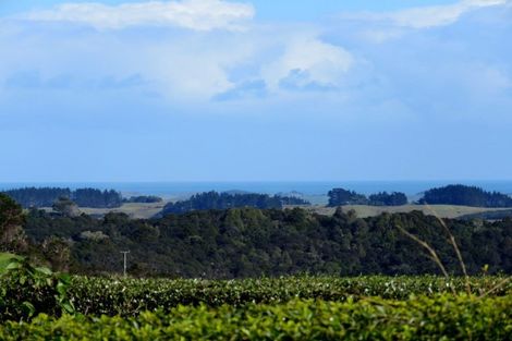 Photo of property in 44 Puriri Block Road, Kaingaroa, Kaitaia, 0482