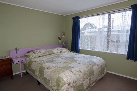 Photo of property in 14 Andersen Street, Reefton, 7830