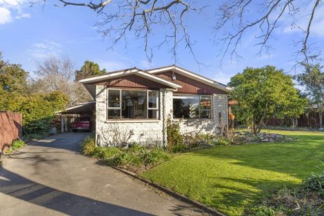 Photo of property in 51 Leefield Street, Blenheim, 7201