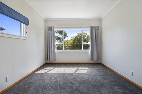Photo of property in 63 Guy Avenue, Takaro, Palmerston North, 4410