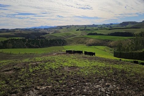 Photo of property in 420 Dunrobin Road, Fuchsia Creek, Oamaru, 9491