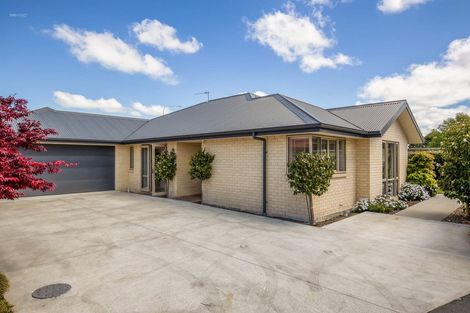 Photo of property in 41 Storer Street, Kaiapoi, 7630
