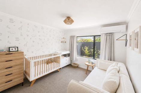 Photo of property in 17 Bayfair Drive, Mount Maunganui, 3116