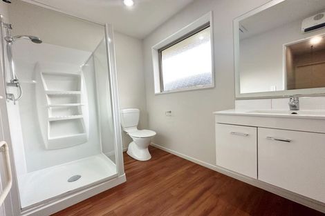 Photo of property in 42 Thackeray Place, Waltham, Christchurch, 8023