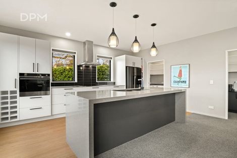 Photo of property in 1 Falcon Street, Roslyn, Dunedin, 9010