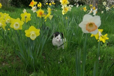 Photo of property in 37 Kerrytown Road, Levels, Timaru, 7975