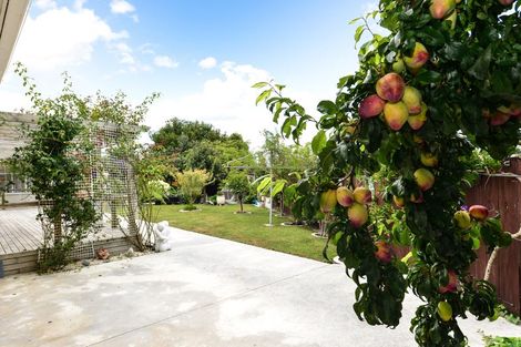 Photo of property in 27 Yvonne Street, Melville, Hamilton, 3206