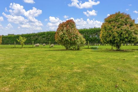 Photo of property in 712 South Eyre Road, Swannanoa, 7692