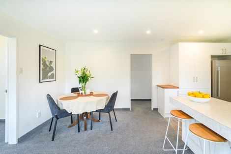 Photo of property in 115 Winchester Street, Ashhurst, 4810