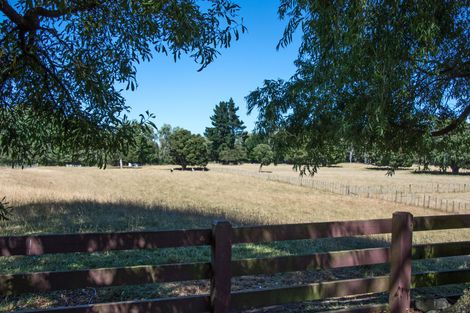 Photo of property in 317 West Bush Road, Upper Plain, Masterton, 5888