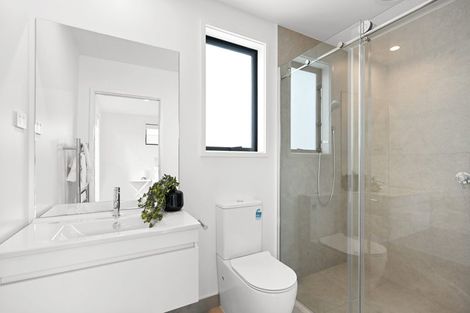 Photo of property in 45 Musselwhite Terrace, Chartwell, Hamilton, 3210