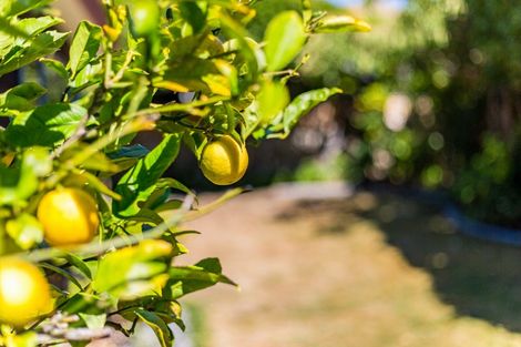 Photo of property in 122 Westchester Drive, Churton Park, Wellington, 6037