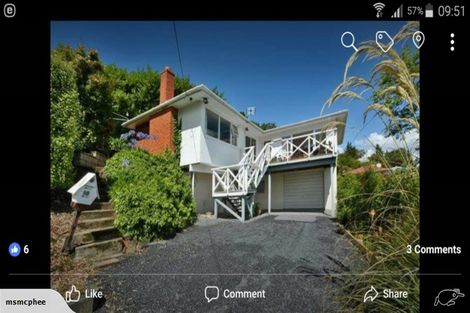 Photo of property in 50 Baldwin Street, North East Valley, Dunedin, 9010