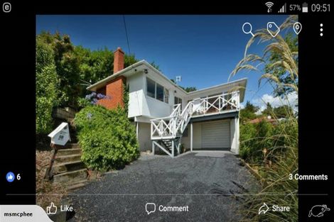 Photo of property in 50 Baldwin Street, North East Valley, Dunedin, 9010